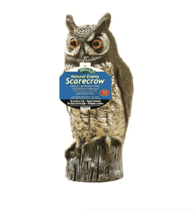 An Owl Animal Repellent Decoy