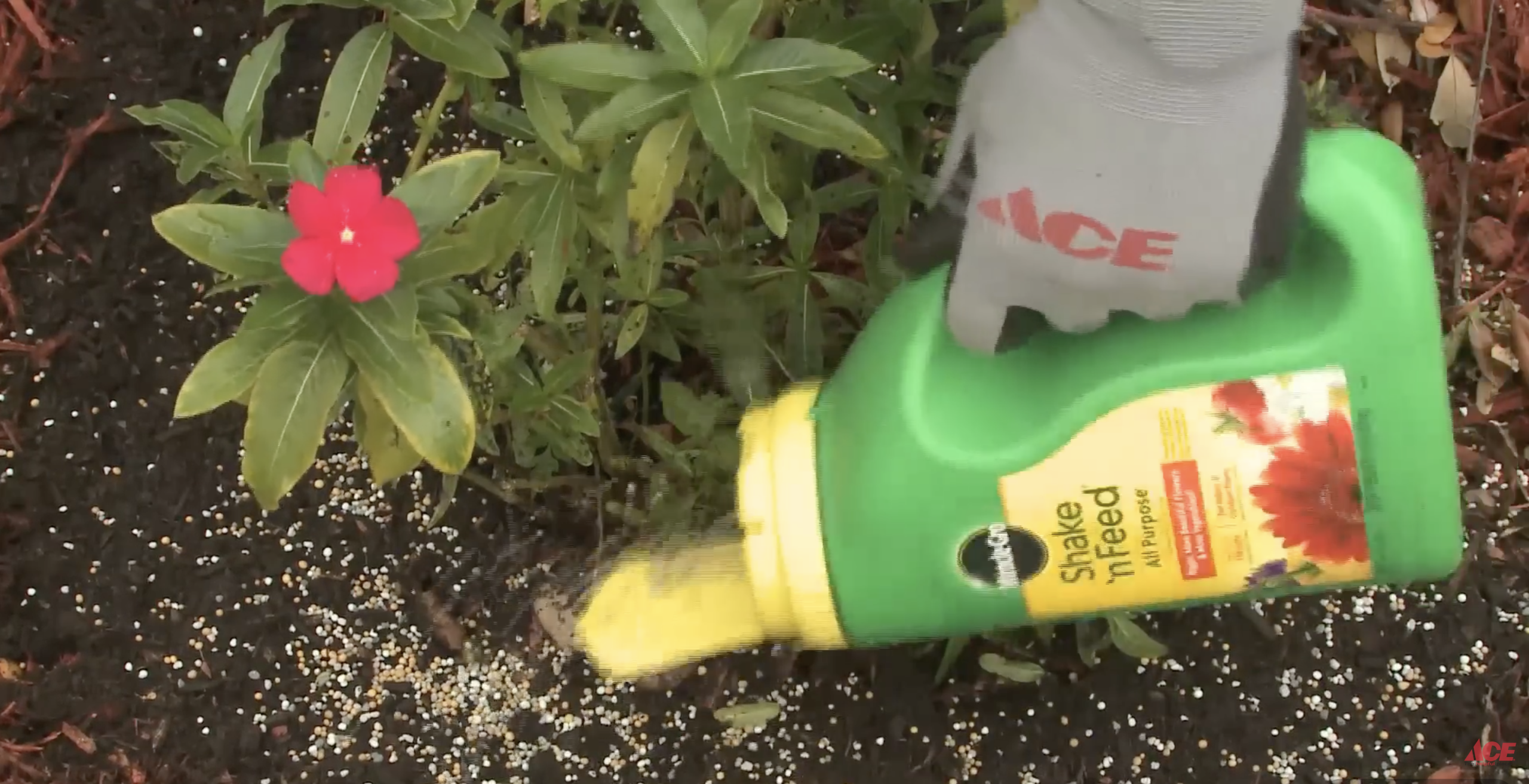 Sprinkle weed preventer