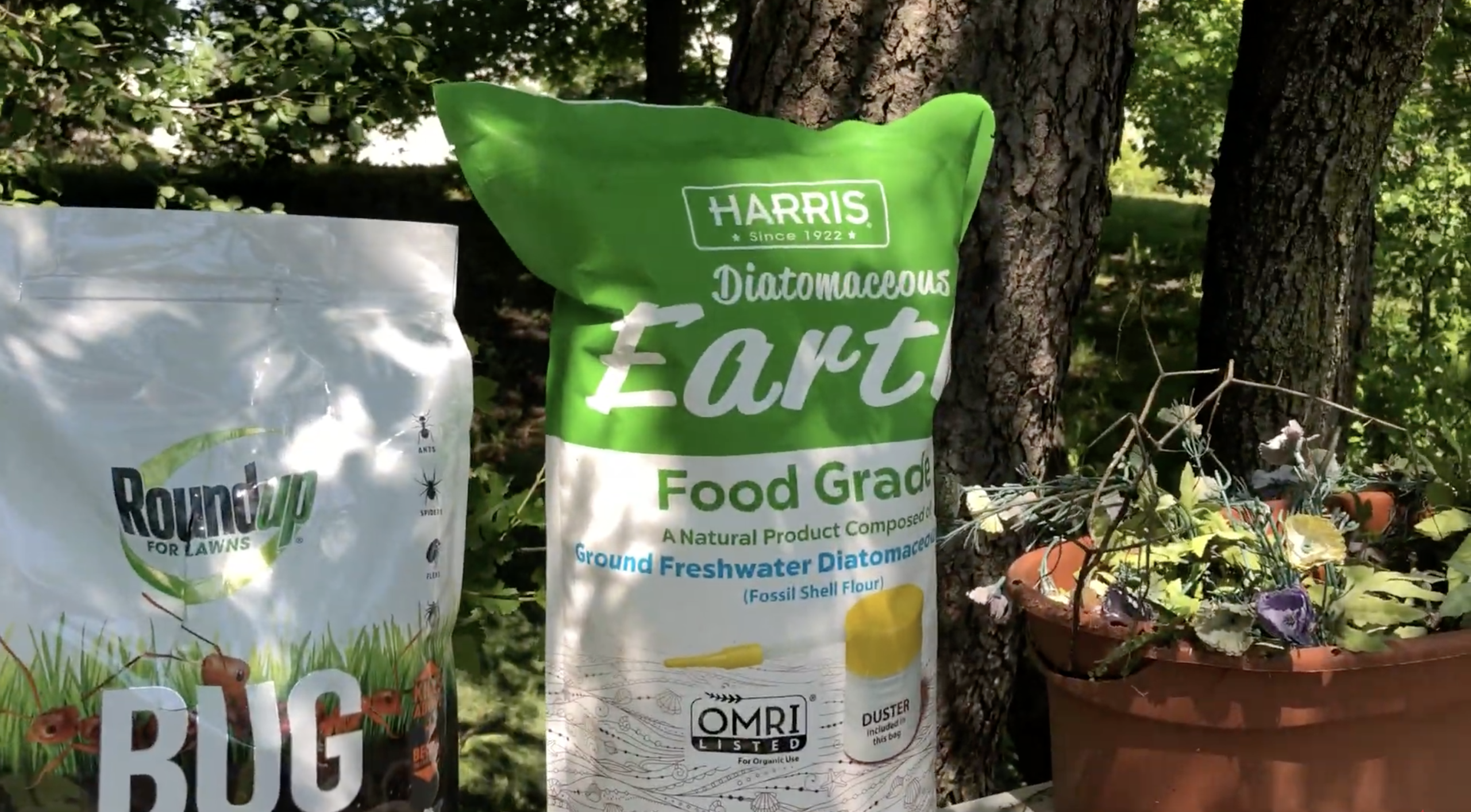 Diatomaceous Earth